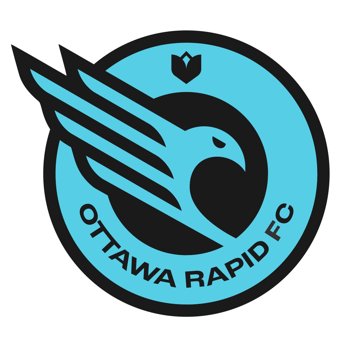 Ottawa Rapids